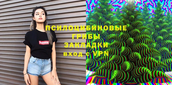 амф Горнозаводск