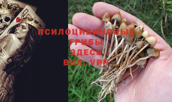 каннабис Горно-Алтайск