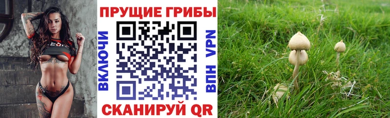 Галлюциногенные грибы Psilocybe  Купить  Красноуральск 
