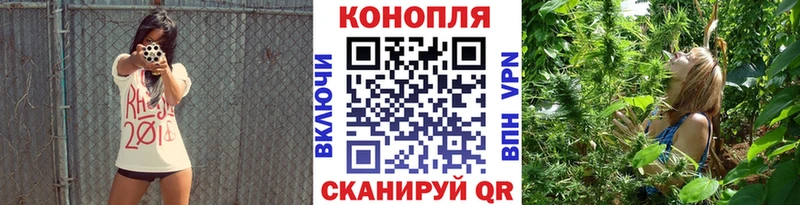 Каннабис OG Kush  Купить  Красноуральск 